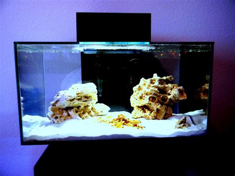 Brian S G Fluval Edge Nano Reef The Reef Tank