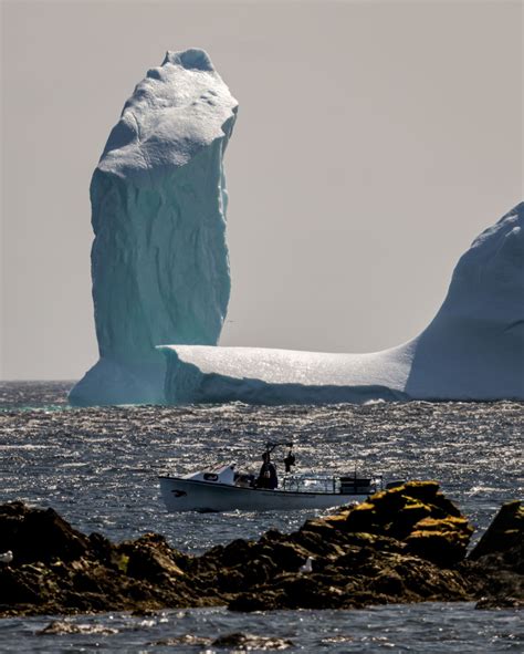 Ferryland Iceberg Tower Ray Mackey Artfunnels