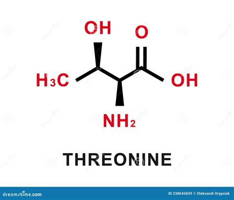 Threonine Molecular Structures Amino Acid 3d Model Structural