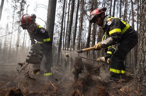 Conspiracy Theorist Who Blamed Government On Wildfires Pleads Guilty To