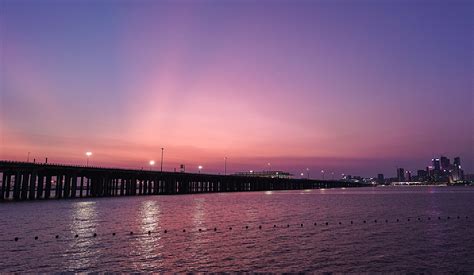 深圳湾前海石公园夜景_小猫咪爱吃鱼啊-站酷ZCOOL