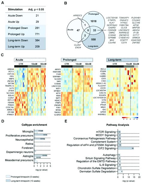 Altered Gene Transcription In Response To Aa Exposure In Cerebral