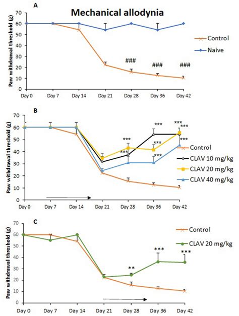 A Mechanical Allodynia Changes In Naive And Streptozocin STZ Induced