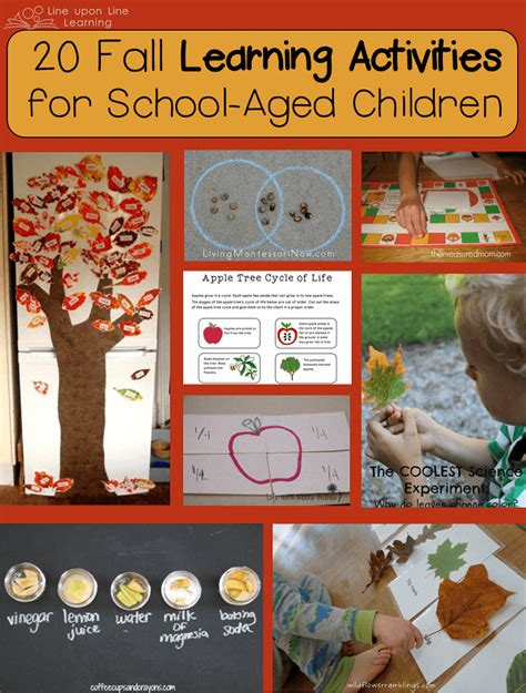 20 Fall Learning Activities for School-Aged Children – Line upon Line Learning