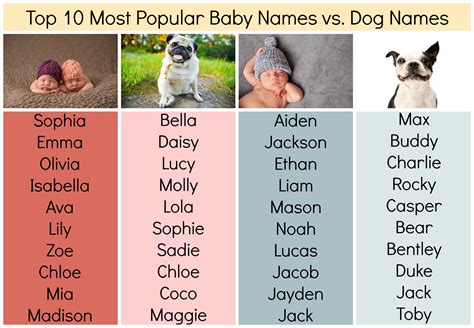 What Are Some Good Names For Girl Dogs At Pearl Bowens Blog