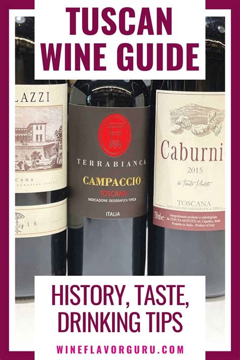 Tuscan Wine Guide: History, Taste & Drinking Tips