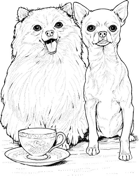 Dog Breed Coloring Pages at GetDrawings | Free download