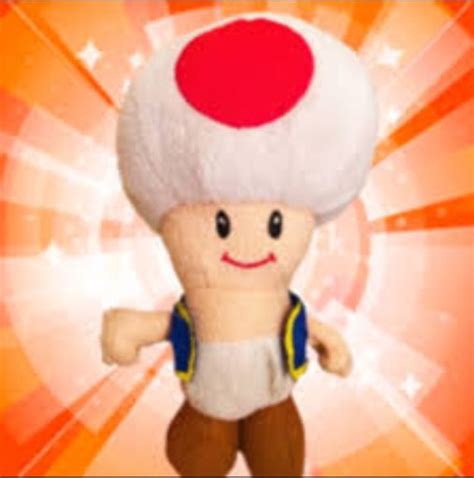 Toad Wiki Supermariologan Amino Amino