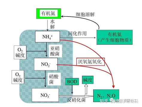 生物脱氮大讲堂—不怕你不会，就怕你搜不对（生化法处理污水） 知乎