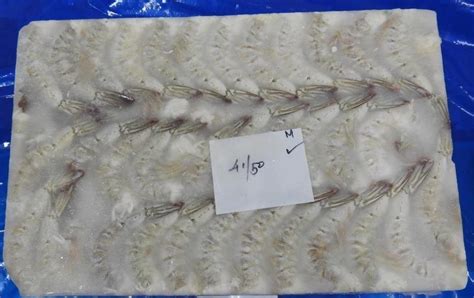 Headless Vannamei Prawns Shrimps Block At Best Price In Chennai