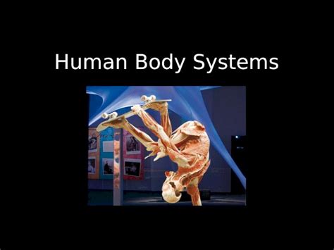 (PPT) Human Body Systems. Levels of Organization Cells Tissues Organs ...