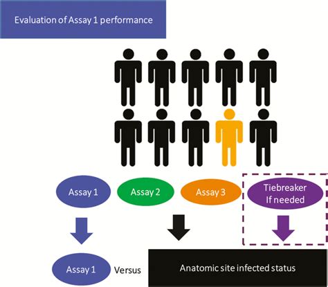 Simultaneous Evaluation Of Diagnostic Assays For Pharyngeal And Rectal