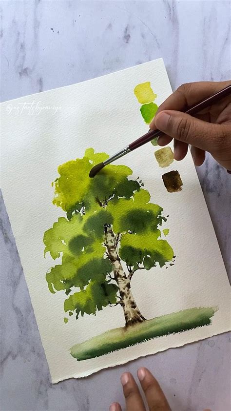 Watercolor tree illustrations | Tree painting, Watercolor tree ...