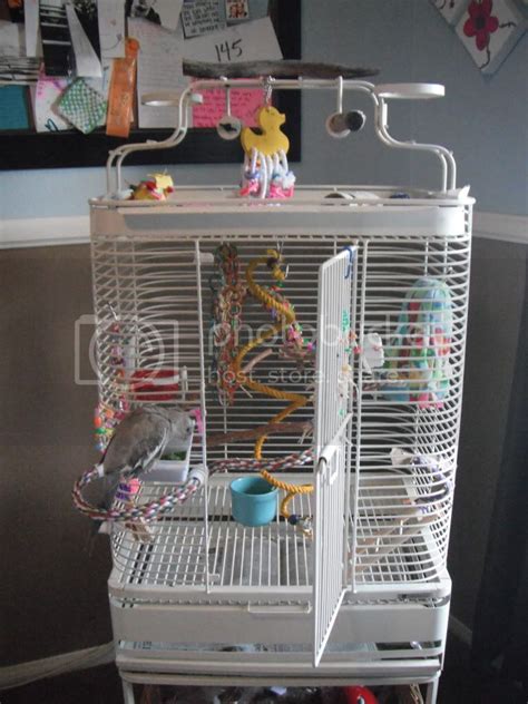 best cage setup yet!! - Parrot Forum - Parrot Owner's Community