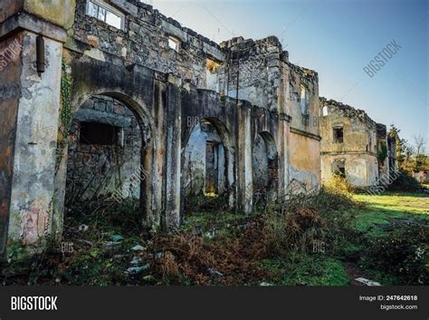 Overgrown Ruins Image & Photo (Free Trial) | Bigstock