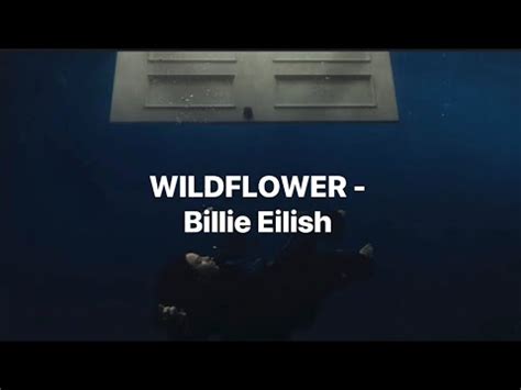 WILDFLOWER Billie Eilish Lyrics YouTube