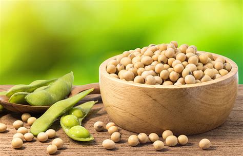 8 Everyday Foods That Are High In Lectins Are Lectins Healthy