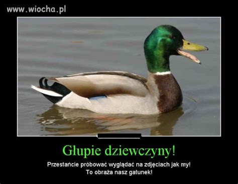 Co Prawda To Prawda Dziewczyny Wiocha Pl Absurd 1038069