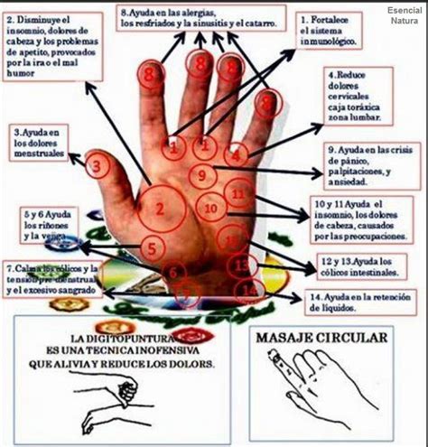 Sigue En El Mapa Los Puntos Y Las Afecciones A Tratar Vigila La Buena Postura Puntos De