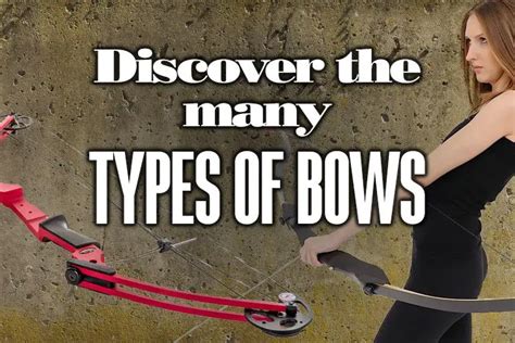 Discover The Many Types Of Bows Boss Targets