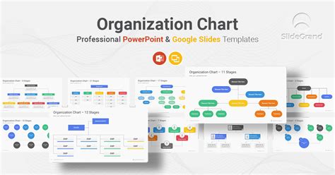 Organization Chart PowerPoint Template Designs - SlideGrand