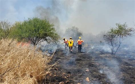 Mantiene Protección Civil Sonora Combate A Incendios Forestales Suman