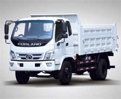 China Cheap Small Dump Truck Foton Forland 4X2 10 Ton Tipper Truck