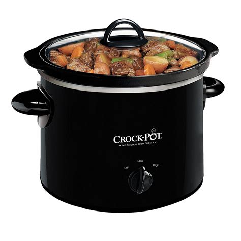 crock pot mini recipes 8