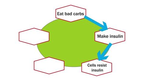 "Insulin Resistance" Images – Browse 2,228 Stock Photos, Vectors, and Video | Adobe Stock