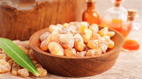 Exploring Mastic Gum Benefits Uses And Risks Healthkart