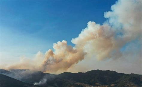 Quemas De Pastizales ¿qué Daños Causan A La Salud Y Al Medio Ambiente