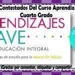 Productos Contestados Del Curso De Aprendizajes Clave Para Quinto Grado