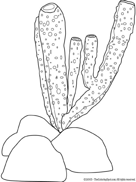 Sea Sponge Page Coloring Pages