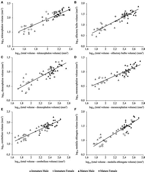 Ontogenetic Shifts And Sexual Dimorphism In The Brain Organization Of