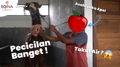 FUN FACT ASAHI TERNYATA SUKA MAKAN APEL DAN WORTEL TAPI TAKUT AIR