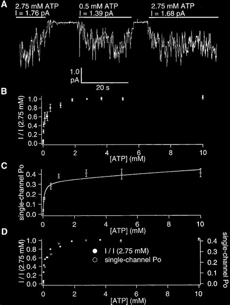 The ATP Concentration Dependence Of CFTR Channel Activity A A