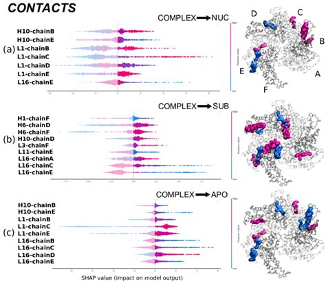 Shap Beeswarm Plots For The Three Transitions Of Contacts For The