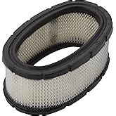 Amazon Briggs Stratton 399806S Oval Air Filter Cartridge