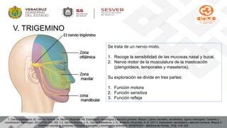 Exploración neurológica y atención primaria Bloque I y II motilidad