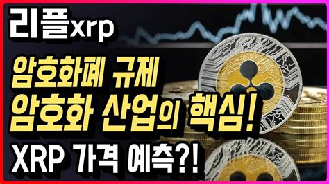 리플 암호화폐 규제 암호화 산업의 핵심 Xrp가격 예측 리플코인 리플 코인 Youtube