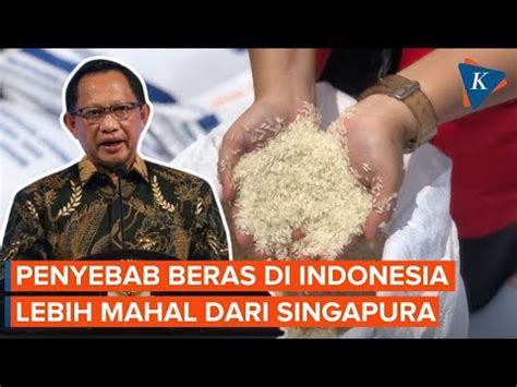 Mendagri Beberkan Alasan Harga Beras Ri Lebih Mahal Dari Singapura