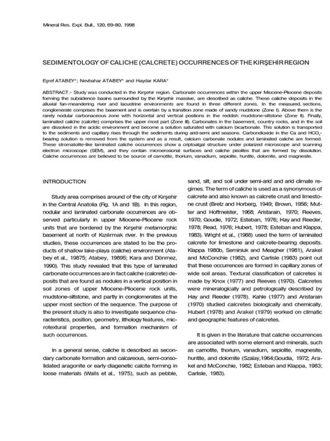 Sedimentology Of Caliche Pdf Sedimentary Rock Carbon Dioxide