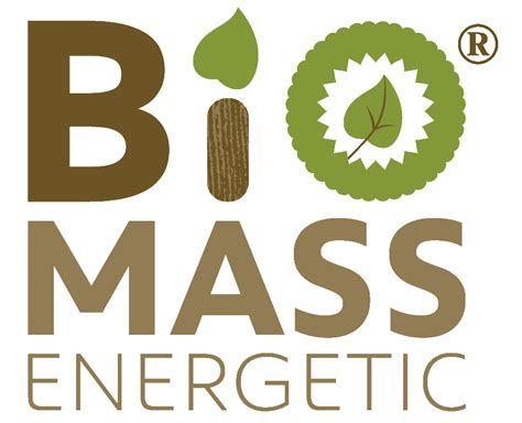 Así Es El Ciclo De La Biomasa Biomass Energetic