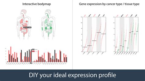 Gepia Gene Expression Profiling Interactive Analysis