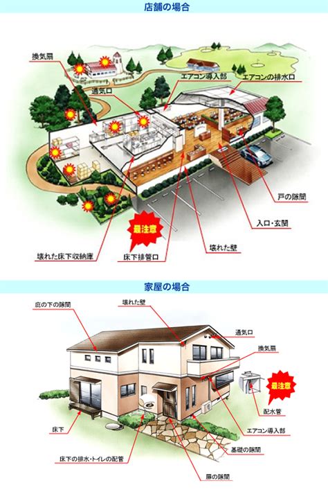 自分で出来るネズミ駆除と対策｜＠快適クラブnet