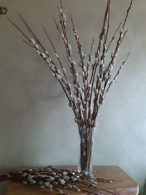 2728Long Pussy Willow Bunch Arrangement Willow Etsy