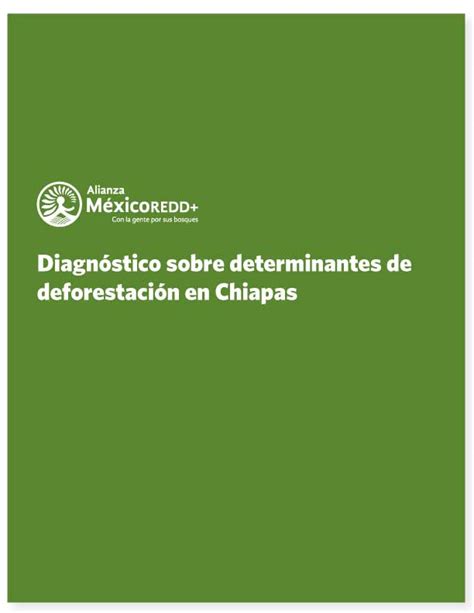 Diagnóstico sobre determinantes de deforestación en Chiapas Alianza M