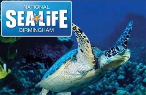 Sea life centre tickets x 4 | in Sandwell, West Midlands | Gumtree