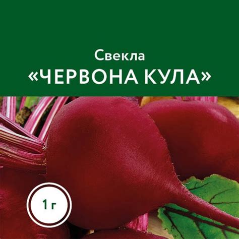 Свекла «Червона Кула - семена питомника Сады Урала: купить в каталоге ...