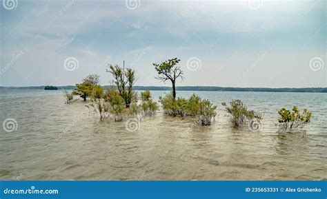 Boating on Lake Hartwell in South Carolina Stock Image - Image of ...